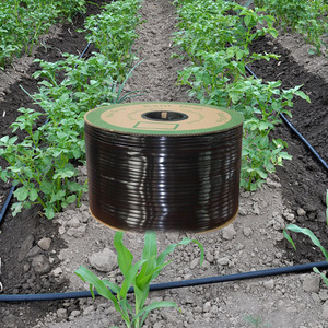 1.5LPH Dripline 30cm espacement émetteur pour l'irrigation Blueberry Bush - Product Image 6