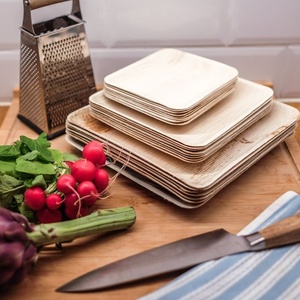 Assiettes carrées biodégradables en feuille de palmier de 7 pouces, très demandées, pour la restauration, les collations, les fruits, les desserts et les événements. - Product Image 1