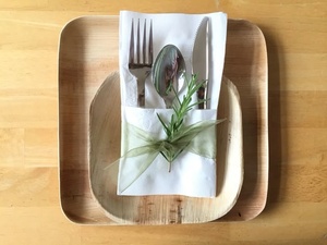 Assiettes de fête Eco Choice de 10 pouces, design carré, vaisselle compostable en feuilles de palmier pour la décoration d'anniversaire, lot de 25 pièces - Product Image 1