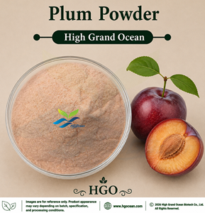 HGO Factory Direct Supply of Pure Natural Plum powder (Food Grade) Fruit powder Spray Drying or Freeze-dried powder - Product Image 1