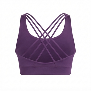 Sujetador Deportivo Personalizado para Mujer, Transpirable, que Absorbe la Humedad, para Fitness, Fabricante de Ropa OEM ODM - Product Image 2