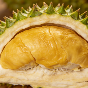 Pulp Durian Tupai King Organik Segar Beku Vakum 1.5kg Rasa Manis Siap Makan Umur Simpan 3 Bulan Imbi