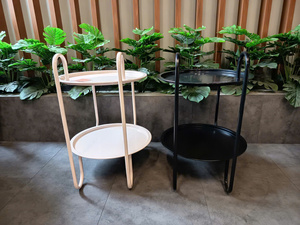 Carrito Metálico de Dos Niveles para Interiores, Tipo Piso, Minimalista, Multifuncional, Móvil, para Sala de Estar - Product Image 4