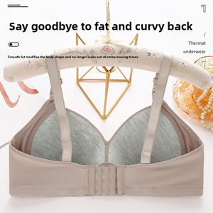 Soutien-gorge OEM grande taille pour femme, ajustable, en tissu lisse, push-up, froncé, de haute qualité, dos élégant, sans armatures - Product Image 3