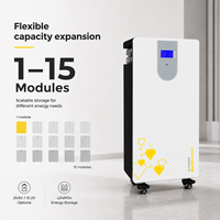 Batería Solar de Pared de 16 kWh LiFePO4 AC Híbrida con BMS para Sistema de Respaldo de Energía ESS para el Hogar