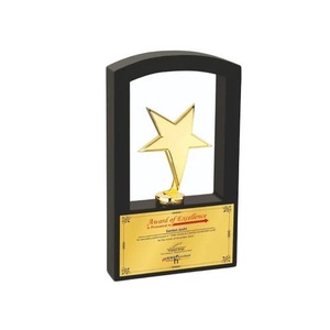 Royal Metal Excellence <b>Trophy</b> Award for Outstanding Achievement Leadership Dedication Performance and Professional Success - Product Image 3