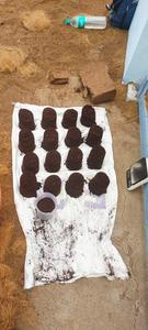 Cocopeat 5kg Bloc - Substrat Biologique Biodégradable pour l'Agriculture, l'Hydroponie, le Jardinage, la Culture et la Plantation - Product Image 3