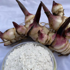 Excelente Opción, Buena Calidad, Precio Económico, Semillas de Maíz Ceroso Orgánicas Secas para Cocina Saludable, Cereales, Industria de Snacks, a Granel - Product Image 1