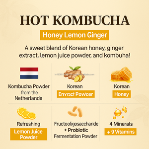 ผงชาหมักเกาหลีพร้อมน้ำผึ้งมะนาวและขิงรสเครื่องดื่มสำหรับผู้ใหญ่สำเร็จรูปบรรจุภัณฑ์10แท่ง - Product Image 4