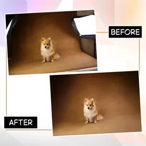 Servicio Profesional de Edición de Imágenes de Mascotas con Retoque de Pelaje y Mejora de Aspecto Natural Disponible en Cantidad al por Mayor - Product Image 2