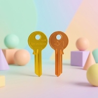 Clés vierges multicolores de marque EVERISE, personnalisables avec logo, tête ronde, non coupées, résistantes à l'eau, pour duplication de serrures résidentielles – Vente chaude