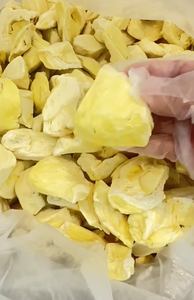 Durian Liofilizado Natural de Vietnam para Snacks Crujientes, Yogur Parfait, Mezclas de Cereales y Postres para Restaurantes - Product Image 2