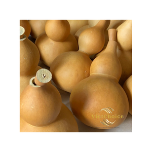 Matériaux en gros de calebasse séchée brute non peinte pour l'artisanat - Product Image 4