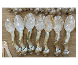 Export Quality Natural Shell <b>Spoon</b> Vietnam Origin - Seashell Utensil For Dining And <b>Serving</b> Display - Product Image 2