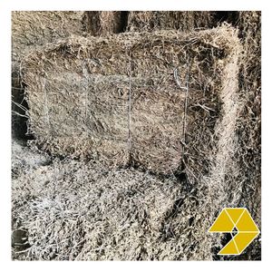Vacuum Packed <b>Dried</b> Black <b>Grass</b> Jelly Leaves Vietnam Origin High Quality Herbal Material for Wholesale Distribution - Product Image 4