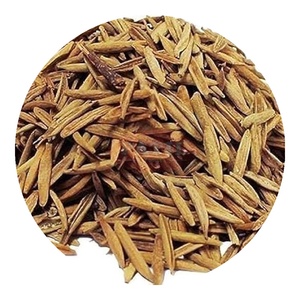 Semillas enteras de Indrajav (Holarrhena pubescens), planta botánica ayurvédica de la India - Product Image 1