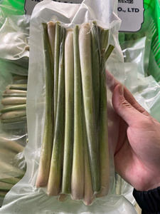 Herbe de citronnelle surgelée 100% pure en bâtonnets/hachée/en tranches - Durée de conservation d'un an, exportée du Vietnam - Product Image 2