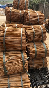 Anis étoilé séché en gros / Cassia en bâtonnets brisés pour la transformation alimentaire - Product Image 4