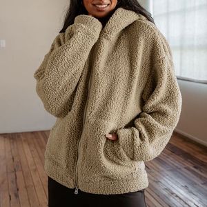 Sweat à capuche zippé en polaire Sherpa pour homme, coupe ample, style Teddy, vêtement d'extérieur décontracté pour l'hiver - Product Image 1