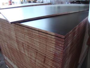 Contreplaqué de bouleau de première qualité 18 mm E1, placage décoratif double face sans formaldéhyde pour meubles d'intérieur - Product Image 5