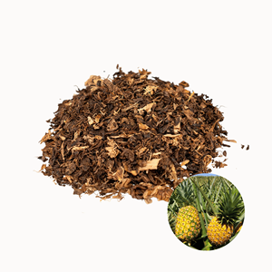 Fabricante Vietnamita Suministra Cáscara de Piña Seca de Calidad Alimentaria para Exportación, Empaque Personalizado Disponible - Product Image 1