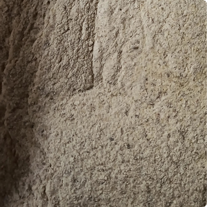 Boswellia serrata GUM Powder (shallaki) ผู้ผลิตอินเดีย - Product Image 4