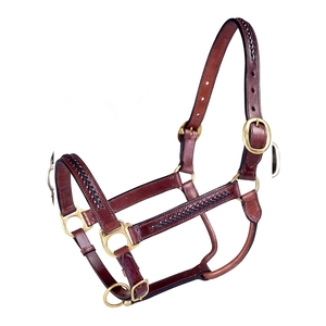 Harnais traditionnel en cuir pour cheval, collier ajustable avec boucle en laiton pour l'entretien de l'écurie, l'entraînement, l'équitation et l'utilisation quotidienne du cheval - Product Image 3
