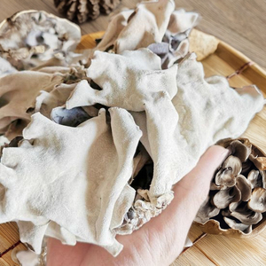 คอลเลกชันวันหยุดแห้งสีขาวดำเห็ดมีเชื้อราผลิตจากเวียดนาม Iqf แช่แข็ง - Product Image 1