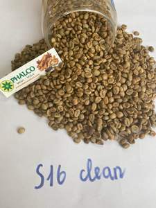 Café Vert Robusta PHALCO de Haute Qualité Grade 1 Tamis 16/18 Vietnam Meilleur Prix Prêt à l'Exportation en Sac de Jute - Product Image 2