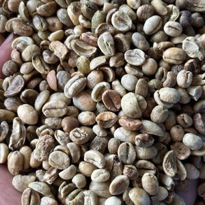 Vietnam Arabica Honey <b>Coffee</b> <b>Beans</b> Raw Green Bulk Supply Export Quality Supplier <b>Coffee</b> Industry - Product Image 1