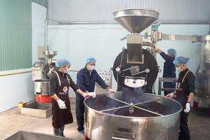 Mélange de grains de café torréfiés Arabica et Robusta standard du Vietnam |   Prix de gros par kilogramme - Product Image 6