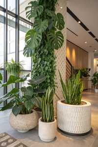 Grand pot de fleurs texturé en fibre de verre FRP avec base de drainage, conteneur de jardin rond classique pour espaces intérieurs et extérieurs - Product Image 2