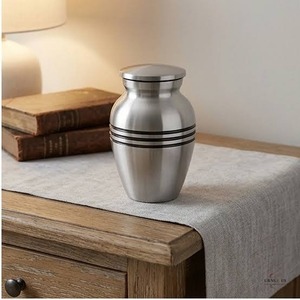 Urna Funeraria de Plata con Alas de Ángel, Estilo Europeo, para Adultos, con Diseños Personalizables, Urna Decorativa para Cenizas Humanas - Product Image 2