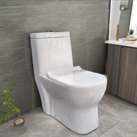 WC monobloc moderne blanc à double chasse, réservoir encastré, toilettes murales en céramique