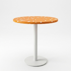Mesa de Centro de Plástico Reciclado, Diseño Moderno, Impermeable, Duradera, Ecológica, Fácil de Limpiar, con Marco Metálico, Mueble para el Hogar, Escuela, Sala de Estar - Product Image 3