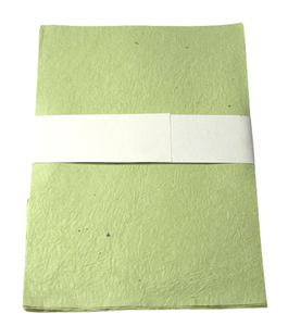 Camelon Exports – Lot de 10 feuilles A4 de papier Lokta froissé, papier d'écriture de qualité supérieure, couleurs qui ne bavent pas, stylo à encre inclus, fabriqué au Rajasthan - Product Image 1