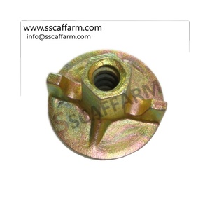 15/17mm Electro mạ kẽm 0.78kg hai cánh Neo giàn giáo thiết kế hiện đại tùy chỉnh thép không gỉ cánh khóa Bolt vít hạt - Product Image 1