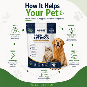 Alimento Seco Completo Premium para Mascotas, para Todas las Razas de Perros y Gatos, con Zinc para el Apoyo Inmunológico, Suministro al por Mayor OEM ODM, Empaque Personalizado Impreso - Product Image 3