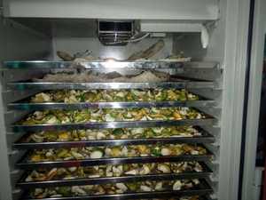 Cáscara de limón seca de alta calidad de Vietnam para exportación con el mejor precio al por mayor - Product Image 4