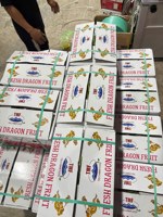 Verse Dragon Fruit Rood Vlees Heel Natuurlijk Export Kwaliteit Groothandel Klaar voor Verzending