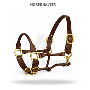 Rolled Leather Horse Halter Premium Adjustable Brass <b>Hardware</b> Show Halter - Product Image 3