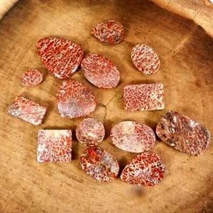 Lote al por mayor de gemas de hueso de dinosaurio natural rojo de calidad AA, cabujón de forma libre, origen AU, Ishu Gems - Product Image 2