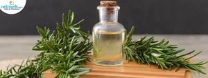 Premium <b>Rosemary</b> Essential <b>Oil</b> <b>Natural</b> Plant Extract for Wellness - Product Image 3