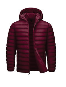 Chaquetas Casuales de Poliéster para Hombre, Rellenas de Algodón - Product Image 3