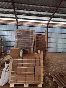 KL Export บล็อกพีทบัฟเฟอร์ 5 กก. วัสดุปลูกพืชออร์แกนิค เป็นมิตรต่อสิ่งแวดล้อม ขยายตัวได้ถึง 75 ลิตร - Product Image 4