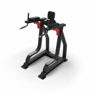 QLI QLRD065 Appareil de musculation professionnel de haute qualité et durable à charge libre pour exercices de levage des jambes, dips et renforcement des abdominaux, en acier - Product Image 6
