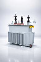 Transformador de distribución trifásico de 50 Hz, 400 kVA, capacidad de tensión sin carga, con cambiador de derivación.