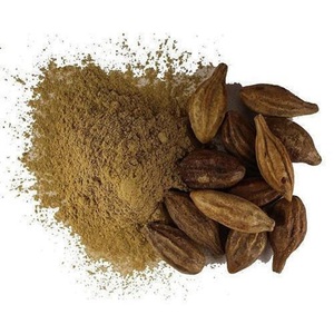 Polvo de Harad de Calidad de Exportación, Polvo de Haritaki, Extracto Herbal Natural en Polvo para Suplementos de Salud, Mezclas de Té y Productos Herbales - Product Image 4