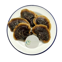 Boire du thé aux champignons Reishi séchés à bords dorés