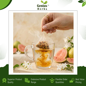 Guava Leaf <b>Tea</b> Pyramid Bag Eco Friendly Herbal Supplement Antioxidant Blood Sugar Support Detox <b>Slimming</b> <b>Tea</b> Caffeine Free - Product Image 2